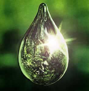 gota verde